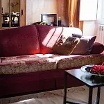 Farm stay Rural Quinta Do Juncal