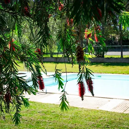 Rural Quinta Do Juncal Agroturismo