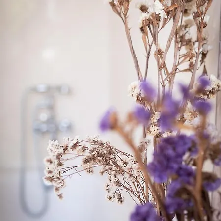 Rural Quinta Do Juncal