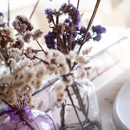 Rural Quinta Do Juncal * Serra d'El-Rei