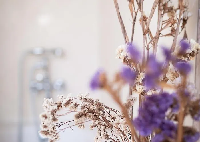 Rural Quinta Do Juncal